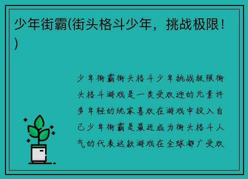 少年街霸(街头格斗少年，挑战极限！)